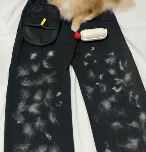 Guante Quitapelos Pethouse™ Mascotas
